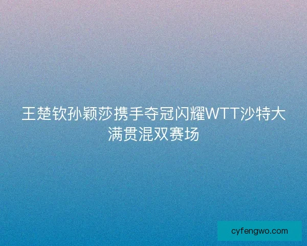王楚钦孙颖莎携手夺冠闪耀WTT沙特大满贯混双赛场