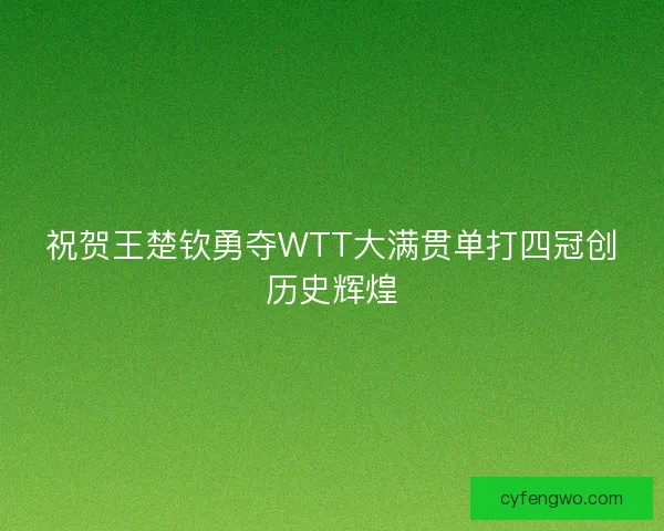 祝贺王楚钦勇夺WTT大满贯单打四冠创历史辉煌