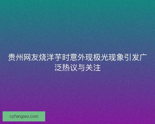 贵州网友烧洋芋时意外现极光现象引发广泛热议与关注