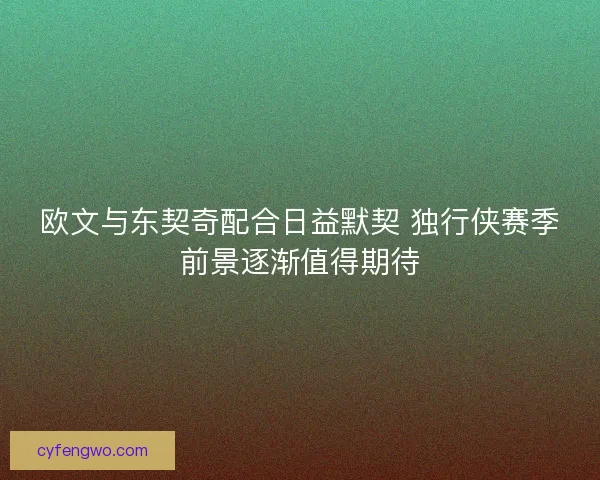 欧文与东契奇配合日益默契 独行侠赛季前景逐渐值得期待