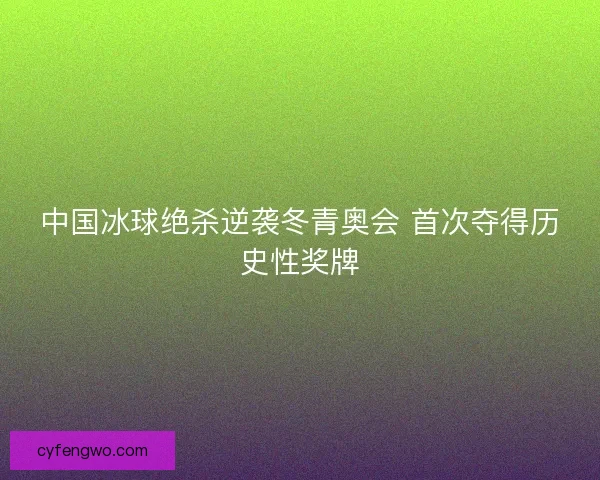 中国冰球绝杀逆袭冬青奥会 首次夺得历史性奖牌