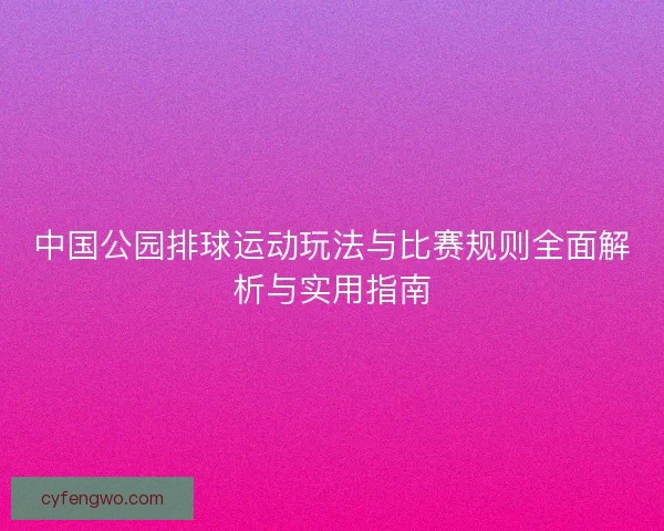 中国公园排球运动玩法与比赛规则全面解析与实用指南